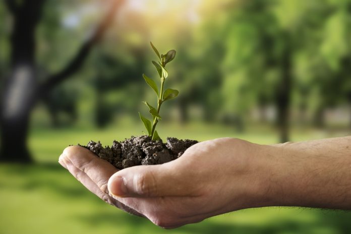 Desktop lança seu primeiro relatório de sustentabilidade Desktop lança seu primeiro relatório de sustentabilidade