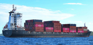 Catálogo de Produtos e DUIMP devem acelerar processos aduaneiros