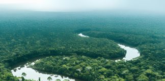 Crédito para transição climática é destaque na Semana do Clima de Nova York