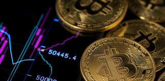 Especialistas explicam como prevenir golpes em investimentos