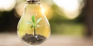 TÜV Rheinland reconhece Siemens Brasil em Sustentabilidade