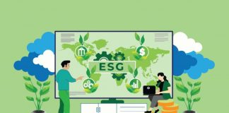 Implantação do ESG é viável para organizações de todos os tamanhos