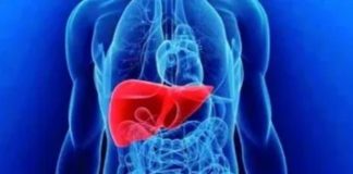 São Paulo recebe evento relacionado a doenças do fígado São Paulo recebe evento relacionado a doenças do fígado