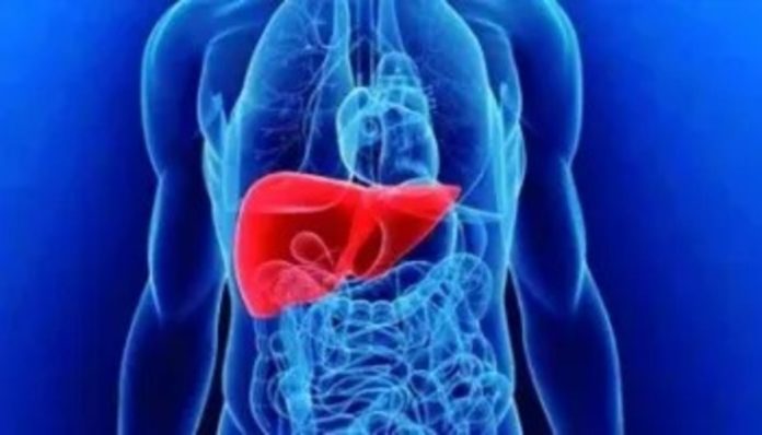 São Paulo recebe evento relacionado a doenças do fígado São Paulo recebe evento relacionado a doenças do fígado