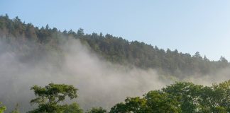 Camada de ozônio pode se recuperar em quatro décadas