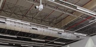 AMar Consultoria investe na inclusão de tâmaras no Brasil