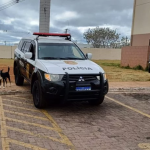 Botucatu: Operação da Polícia Civil desmantela ponto de tráfico no Condomínio Cachoeirinha