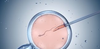 Reprodução assistida registra alta de 36% em três anos