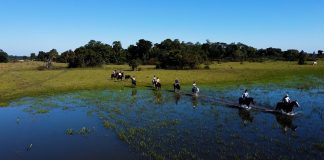 LPM.World vence o Gold Award no Travel Weekly Magellan Award