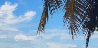 Bahia é destino preferido no turismo nacional, segundo IBGE
