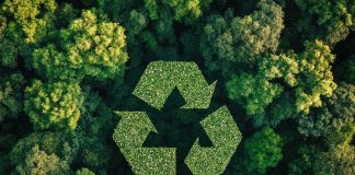 Seminário na Noruega leva soluções sustentáveis dos trópicos com impacto global Seminário na Noruega leva soluções sustentáveis dos trópicos com impacto global