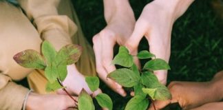 Meta de neutralidade de carbono visa controlar o aquecimento