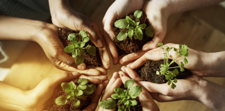 Dia do Educador Ambiental é comemorado em 15 de outubro