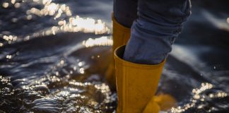 Enchentes no RS: indenizações de seguros superam R$ 6 bi