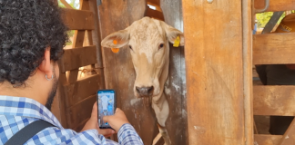 MUU firma parceria com a Secretaria de Agricultura de SP