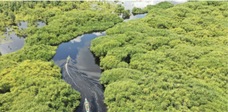 Belterra, na Amazônia, quer ser a “Machu Picchu brasileira” Belterra, na Amazônia, quer ser a "Machu Picchu brasileira"