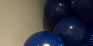 Fresenius Kabi Brasil promove Semana do Voluntariado