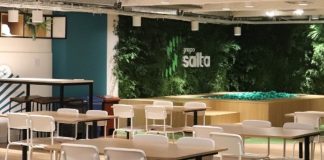 Grupo Salta abre inscrições para Programa Trainee Grupo Salta abre inscrições para Programa Trainee