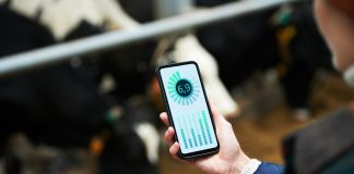 Startup divulga dados inéditos de bem-estar em 100 rebanhos