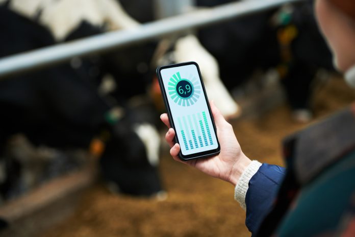 Startup divulga dados inéditos de bem-estar em 100 rebanhos Startup divulga dados inéditos de bem-estar em 100 rebanhos