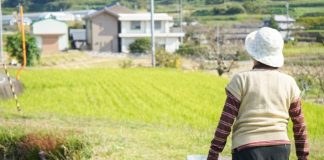 Selo Biocombustível Social impulsiona mulheres rurais