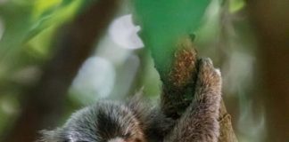 Destinos sustentáveis permitem vivenciar experiências próximas da natureza