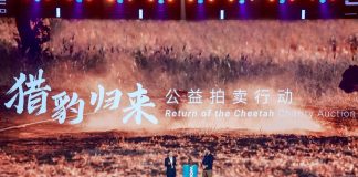 JETOUR e Discovery unem-se ao Cheetah Fund para promover “Travel as ESG” JETOUR e Discovery unem-se ao Cheetah Fund para promover "Travel as ESG"