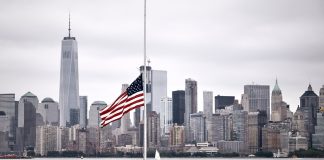 Vitória de Trump traz dúvidas sobre emissão de Green Card Vitória de Trump traz dúvidas sobre emissão de Green Card