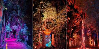 Wonder Park Foz inaugura nova atração "Lumina"