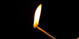 Grupo Gaboardi promove campanha #PresenteDesdeSempre