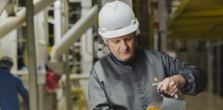 Empresa investe em nutrição adequada de cães e gatos