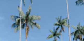 Mulheres lideram soluções climáticas locais no Brasil Mulheres lideram soluções climáticas locais no Brasil