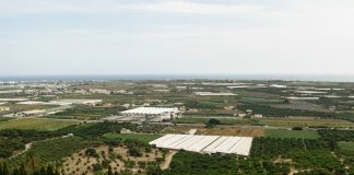 Construção civil adota ESG como pilar de valor e inovação