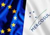 Fundação Euroamérica faz análise de acordo entre Mercosul-UE Fundação Euroamérica faz análise de acordo entre Mercosul-UE