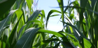 Acordo entre blocos econômicos favorece indústria química