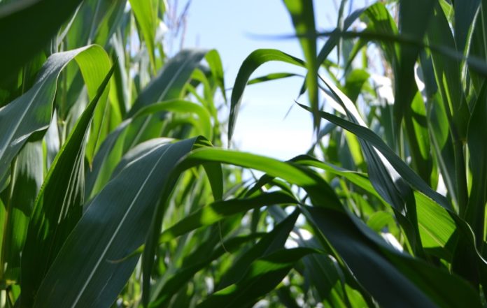 Acordo entre blocos econômicos favorece indústria química Acordo entre blocos econômicos favorece indústria química