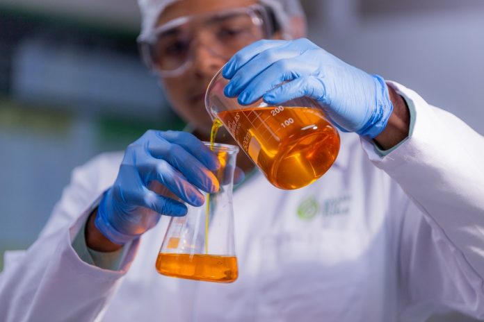 Óleo de palma enfrenta desafios no contexto global Óleo de palma enfrenta desafios no contexto global