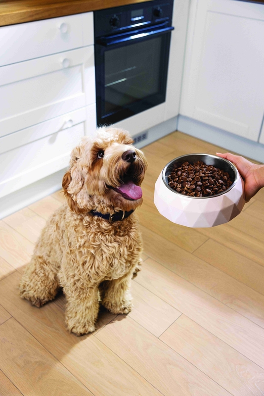 Hill's Pet Nutrition lança a linha Hill's SD Specialty para condições especiais Hill's Pet Nutrition lança a linha Hill's SD Specialty para condições especiais