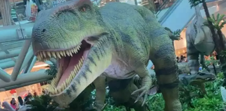 Exposições temáticas podem oferecer experiências imersivas em shoppings