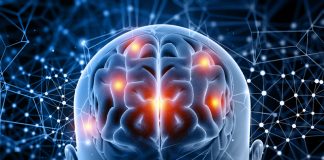 Bilinguismo estimula a memória e combate o declínio mental