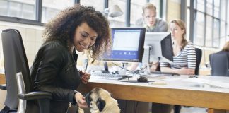 Escritórios abrem portas para os pets e colhem benefícios