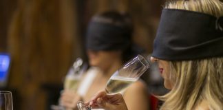 Colheita da uva inspira enoexperiências em vinícola gaúcha Colheita da uva inspira enoexperiências em vinícola gaúcha