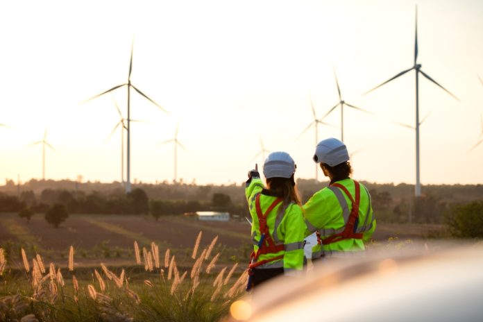 Brasil: 44% das empresas pretendem contratar em 2025 Brasil: 44% das empresas pretendem contratar em 2025