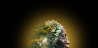 Congresso terá palestras dos cases vencedores do Prêmio ESG