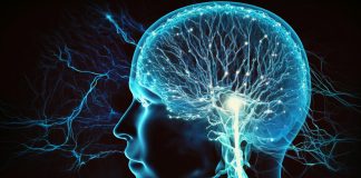 Aprender idiomas molda mentes ágeis para multitarefas