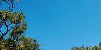 Gestão nova de Ilhéus propõe apoio ao turismo sustentável na cidade