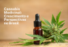 Cannabis medicinal demonstra crescimento otimista no Brasil Cannabis medicinal demonstra crescimento otimista no Brasil