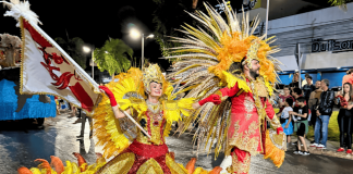 Escola de samba sobe a avenida com enredo sobre preservação ambiental