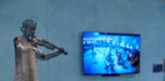 Soluções japonesas favorecem a sustentabilidade