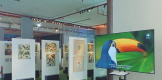 Exposição O Legado Suíço Brasileiro na Amazônia está em Nova Friburgo–RJ